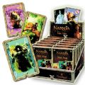Jeux de cartes Narnia