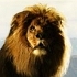 Le Monde de Narnia : Le Roi Lion...